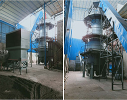 Biomass Gasification-Charcoal and Cogeneration Project